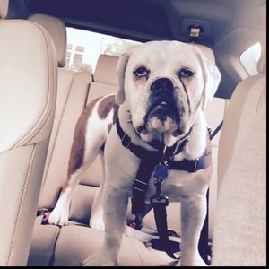 Meet your Posher, Jacqueline